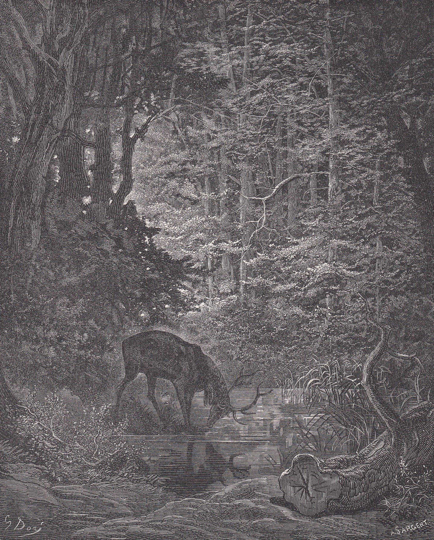 1870 GUSTAVE DORE Print - "The Stag Viewing Himself in the Stream" - Dore Wall Art - Dore Engraving - 8.5 x 12.2 Inches