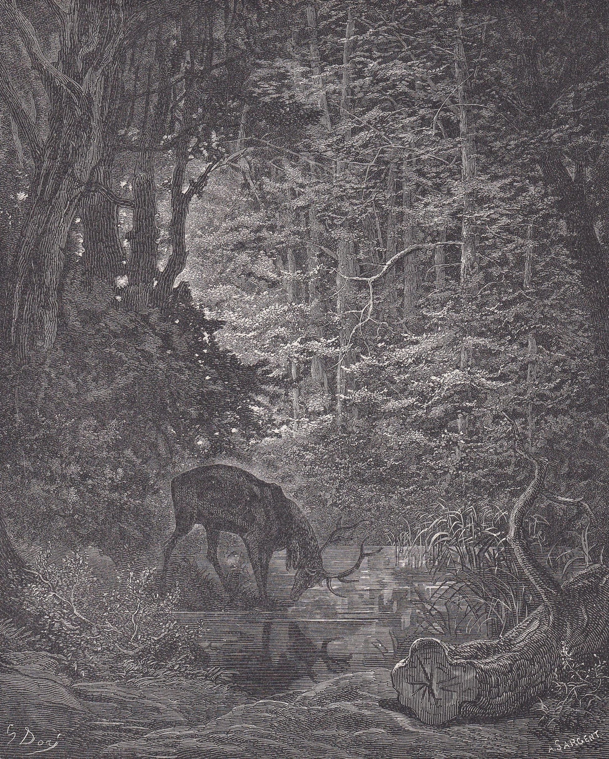 1870 GUSTAVE DORE Print - "The Stag Viewing Himself in the Stream" - Dore Wall Art - Dore Engraving - 8.5 x 12.2 Inches