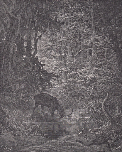 1870 GUSTAVE DORE Print - "The Stag Viewing Himself in the Stream" - Dore Wall Art - Dore Engraving - 8.5 x 12.2 Inches