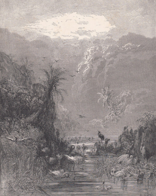 1870 GUSTAVE DORE Print - "The Creation of Birds" - Dore Wall Art - Dore Engraving - 8.5 x 12.2 Inches