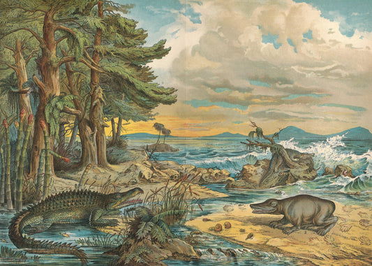 1878 DINOSAUR Print - Triassic Period - Antique Paleoart - Dinosaur Wall Art - Phytosaur, Mastodonsaurus - 16.5 x 12.5 Inches