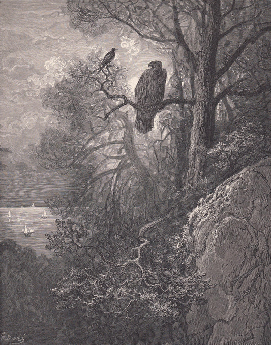 1870 GUSTAVE DORE Print - "The Eagle and the Magpie" - Dore Wall Art - Antique Dore Engraving - 8.5 x 12.2 Inches