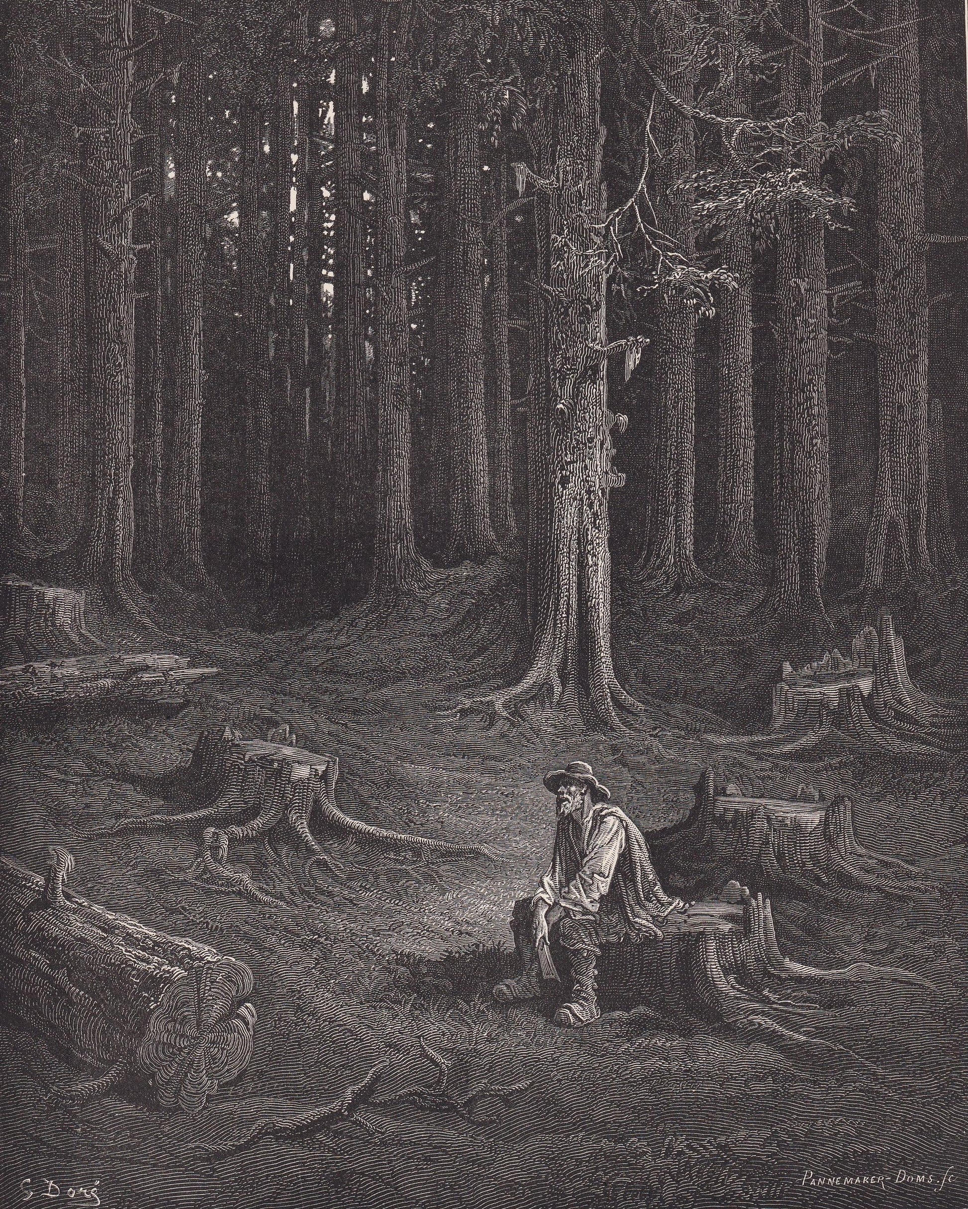 1870 GUSTAVE DORE Print - "The Forest and the Woodman" - Dore Wall Art - Antique Dore Engraving - 8.5 x 12.2 Inches