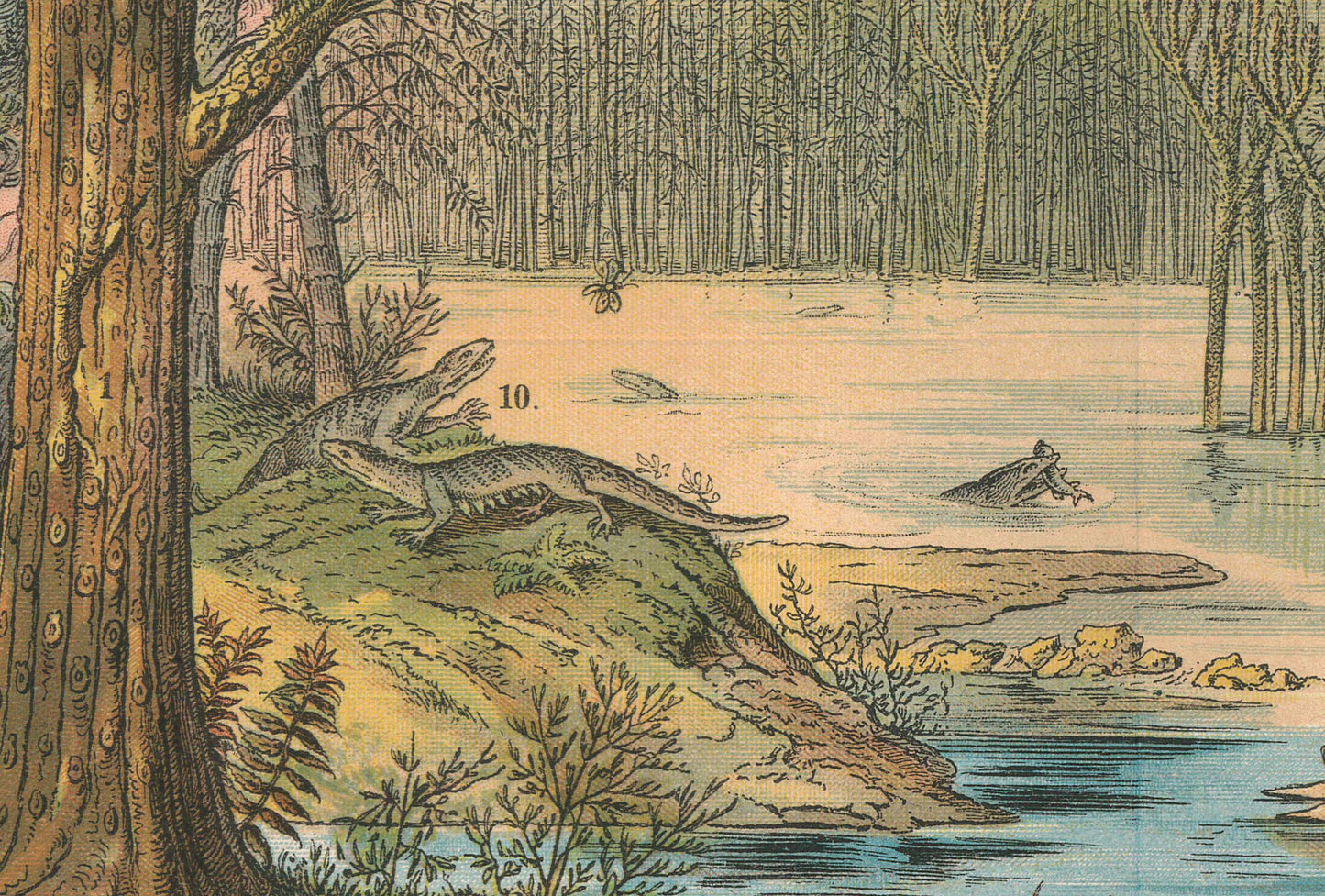 1878 DINOSAUR Print - Carboniferous Period - Antique Paleoart - Dinosaur Wall Art - Coal - Prehistoric Animal Print - 16.5 x 12.5 Inches