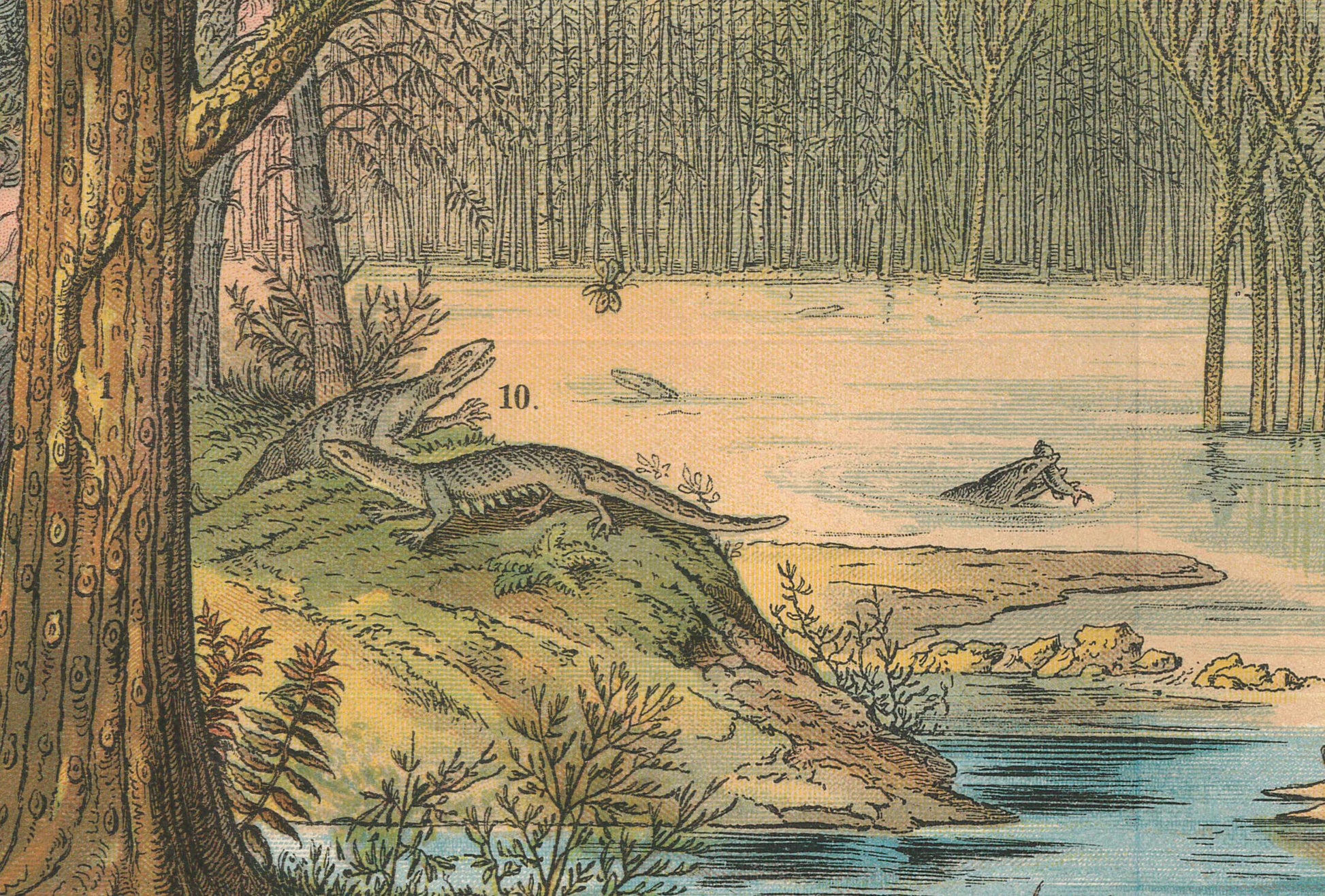 1878 DINOSAUR Print - Carboniferous Period - Antique Paleoart - Dinosaur Wall Art - Coal - Prehistoric Animal Print - 16.5 x 12.5 Inches