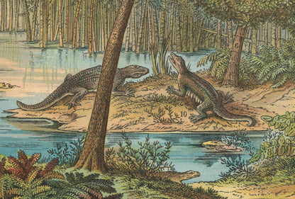 1878 DINOSAUR Print - Carboniferous Period - Antique Paleoart - Dinosaur Wall Art - Coal - Prehistoric Animal Print - 16.5 x 12.5 Inches