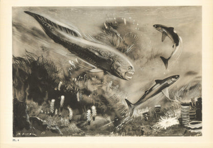 1960 DINICHTHYS Print - Prehistoric Animals Print - Paleoart - Paleontology Print - Dinosaur Print - 63 Years Old - 13.5 x 9.75 Inches