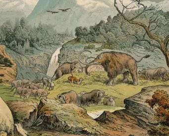 1878 PREHISTORIC MAN & ANIMALS Print - Pleistocene Epoch - Antique Paleoart - Mammoth Wall Art - Cave Bear, Neanderthal - 16.5 x 12.5 Inches