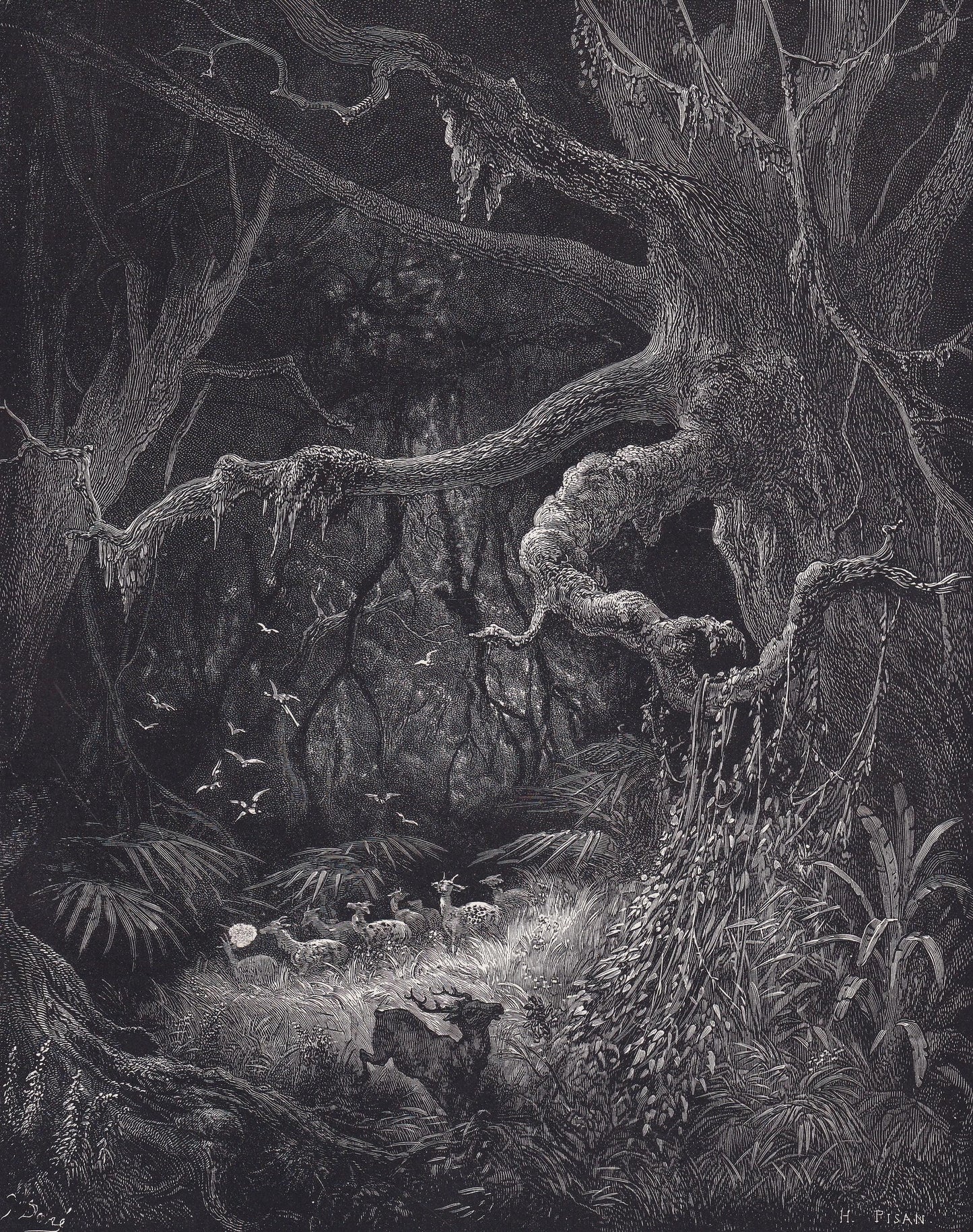 1870 GUSTAVE DORE Print - "The Forests on the Banks of the Mississippi" - Dore Wall Art - Antique Dore Engraving - 8.5 x 12.8