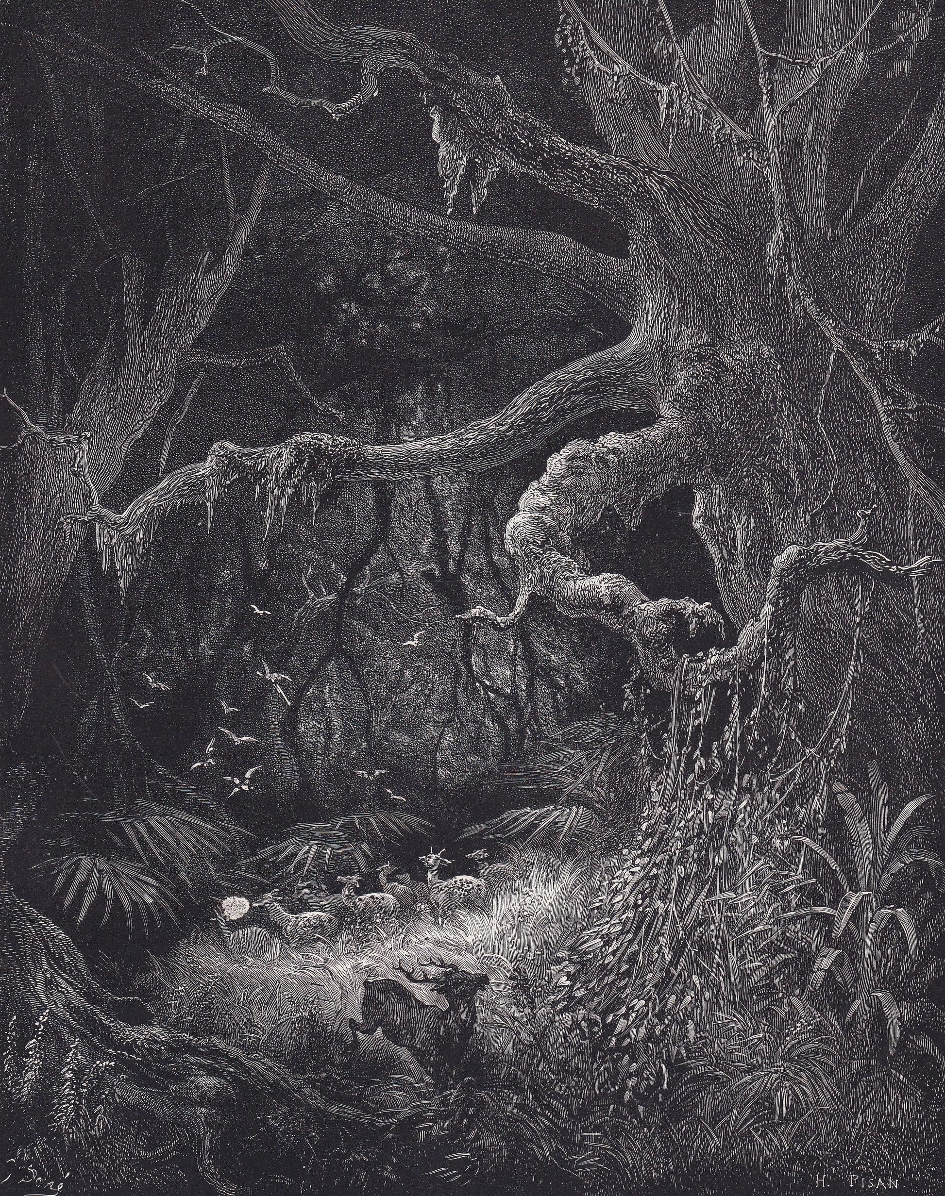 1870 GUSTAVE DORE Print - "The Forests on the Banks of the Mississippi" - Dore Wall Art - Antique Dore Engraving - 8.5 x 12.8