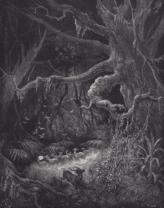 1870 GUSTAVE DORE Print - "The Forests on the Banks of the Mississippi" - Dore Wall Art - Antique Dore Engraving - 8.5 x 12.8