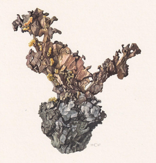1968 COPPER Print - Mineral Wall Art Gift - Mineralogy Decor - Precious Stones - Vintage Rock Art - Geology Print - 7.5 x 10.