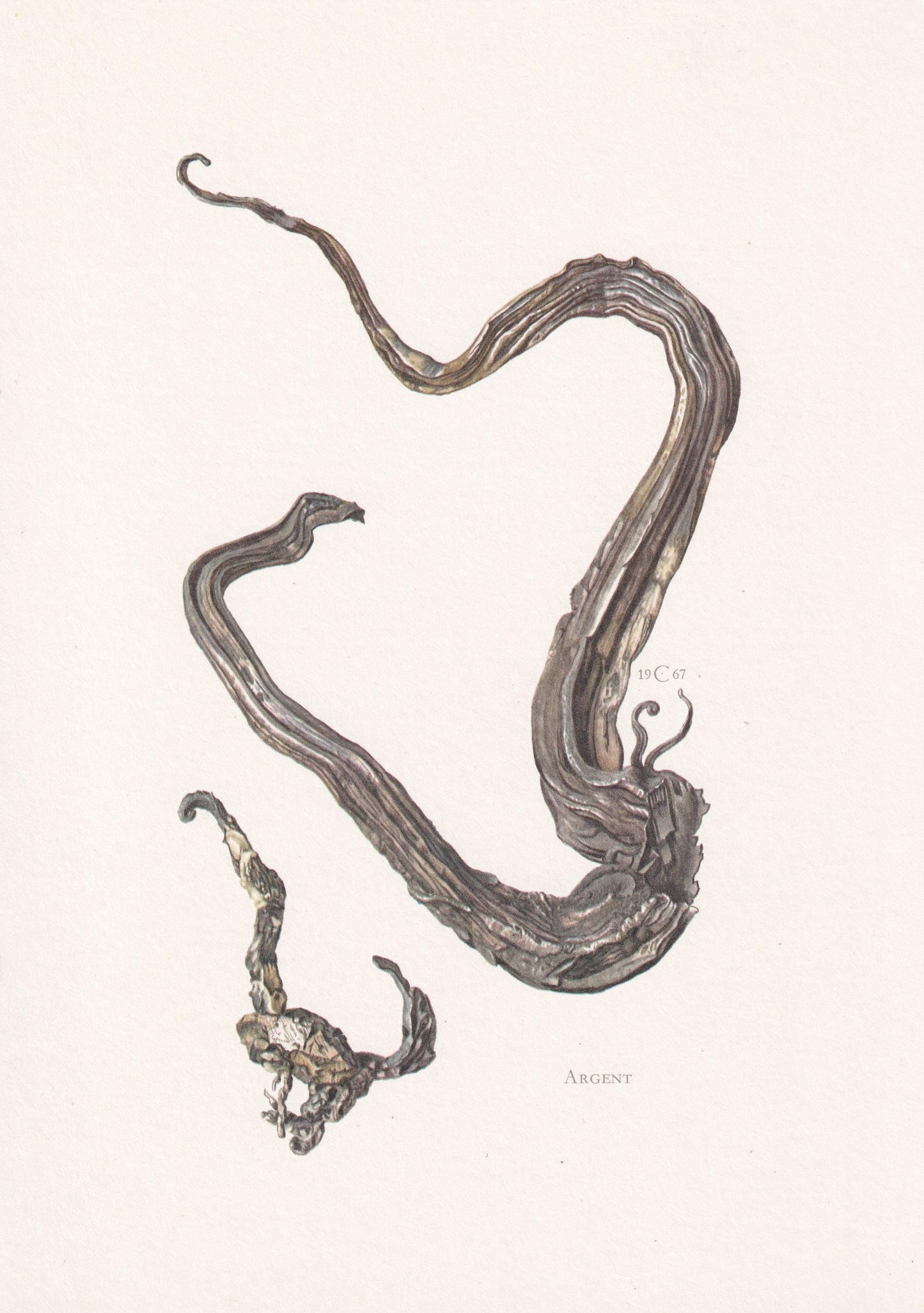 1968 SILVER Print - Mineral Wall Art Gift - Mineralogy Decor - Precious Stones - Vintage Rock Art - Element Print - 7.5 x 10.6 Inches