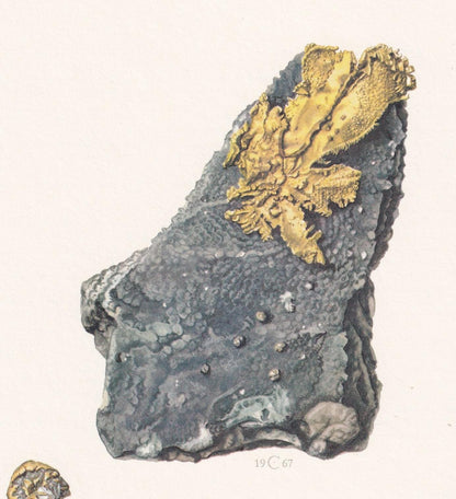 1968 GOLD Print - Mineral Wall Art Gift - Mineralogy Decor - Precious Stones - Vintage Rock Art - Element Print - 7.5 x 10.6 Inches