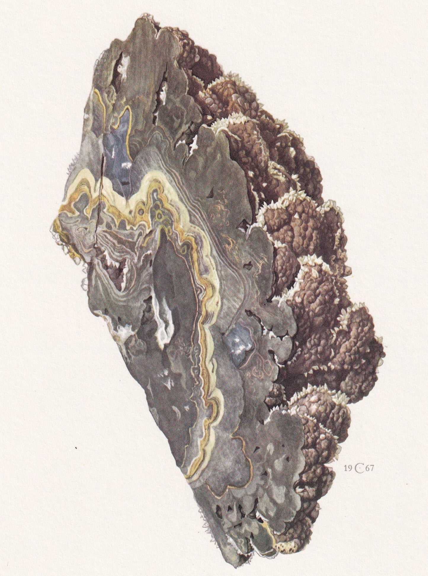 1968 SPHALERITE Print - Mineral Wall Art Gift - Zinc - Mineralogy Decor - Precious Stones - Vintage Rock Art - Element - 7.5 