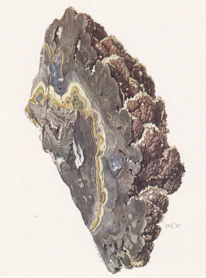 1968 SPHALERITE Print - Mineral Wall Art Gift - Zinc - Mineralogy Decor - Precious Stones - Vintage Rock Art - Element - 7.5 