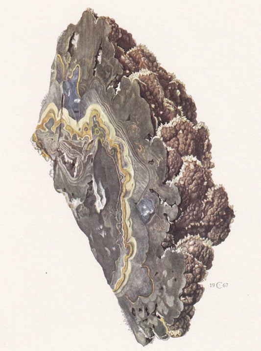 1968 SPHALERITE Print - Mineral Wall Art Gift - Zinc - Mineralogy Decor - Precious Stones - Vintage Rock Art - Element - 7.5 