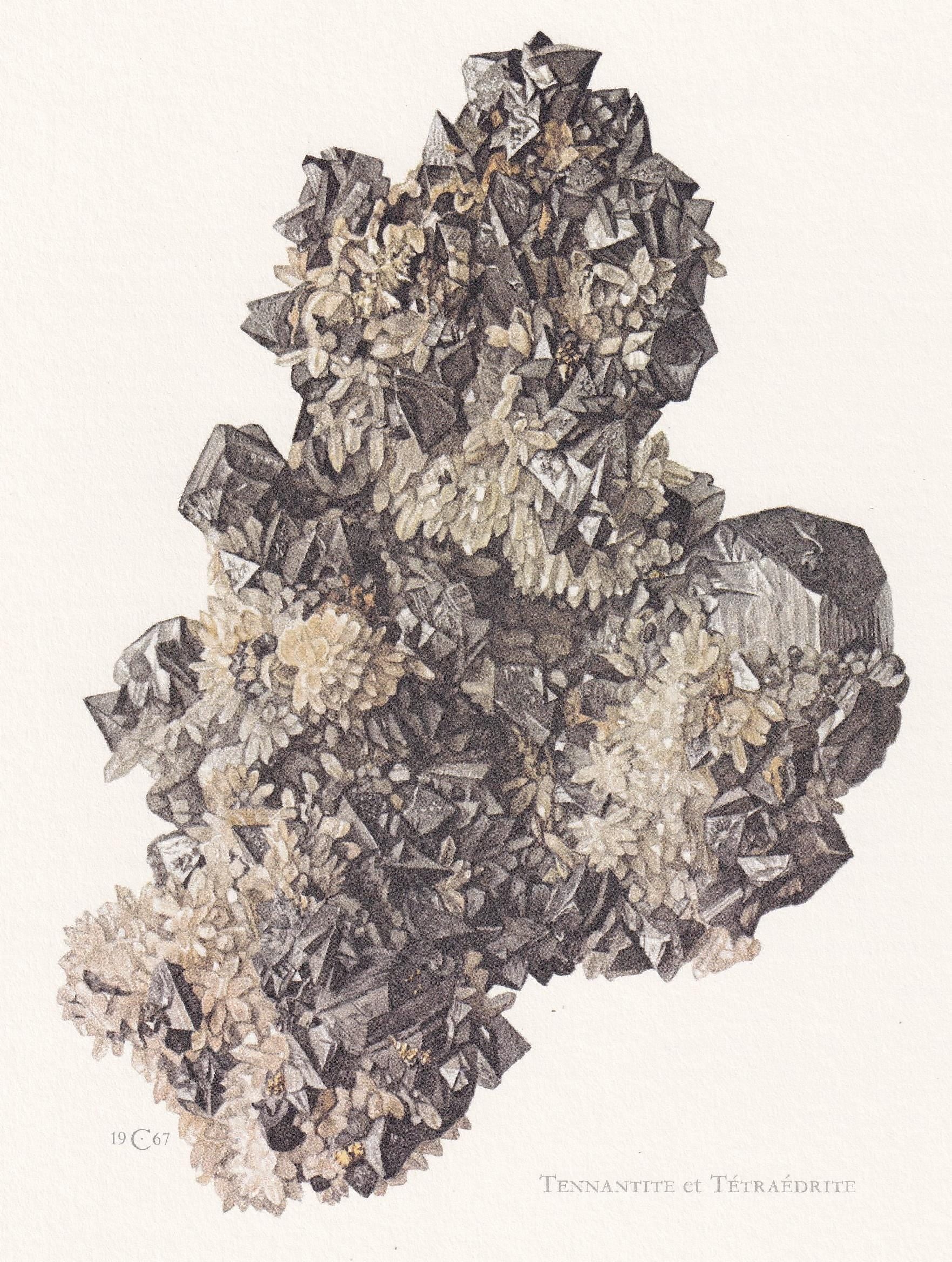 1968 TENNANTITE & TETRAHEDRITE Print - Mineral Wall Art Gift - Mineralogy Decor - Vintage Rock Art - Element - 7.5 x 10.6 Inc