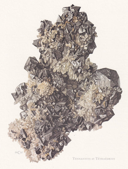 1968 TENNANTITE & TETRAHEDRITE Print - Mineral Wall Art Gift - Mineralogy Decor - Vintage Rock Art - Element - 7.5 x 10.6 Inc