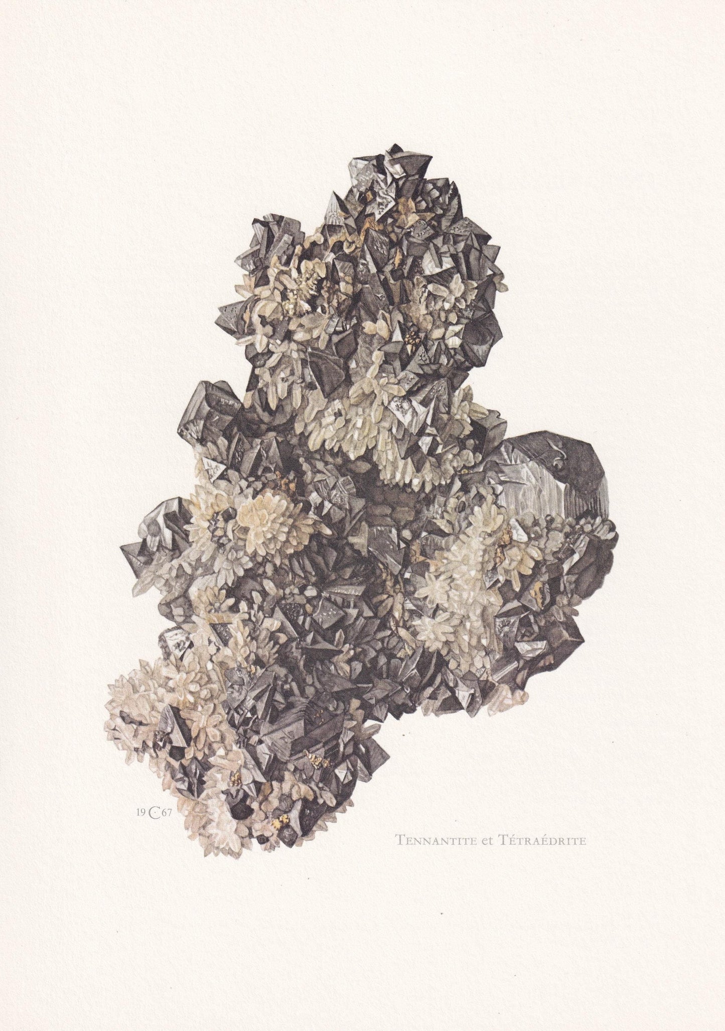 1968 TENNANTITE & TETRAHEDRITE Print - Mineral Wall Art Gift - Mineralogy Decor - Vintage Rock Art - Element - 7.5 x 10.6 Inc