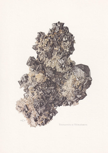 1968 TENNANTITE & TETRAHEDRITE Print - Mineral Wall Art Gift - Mineralogy Decor - Vintage Rock Art - Element - 7.5 x 10.6 Inc