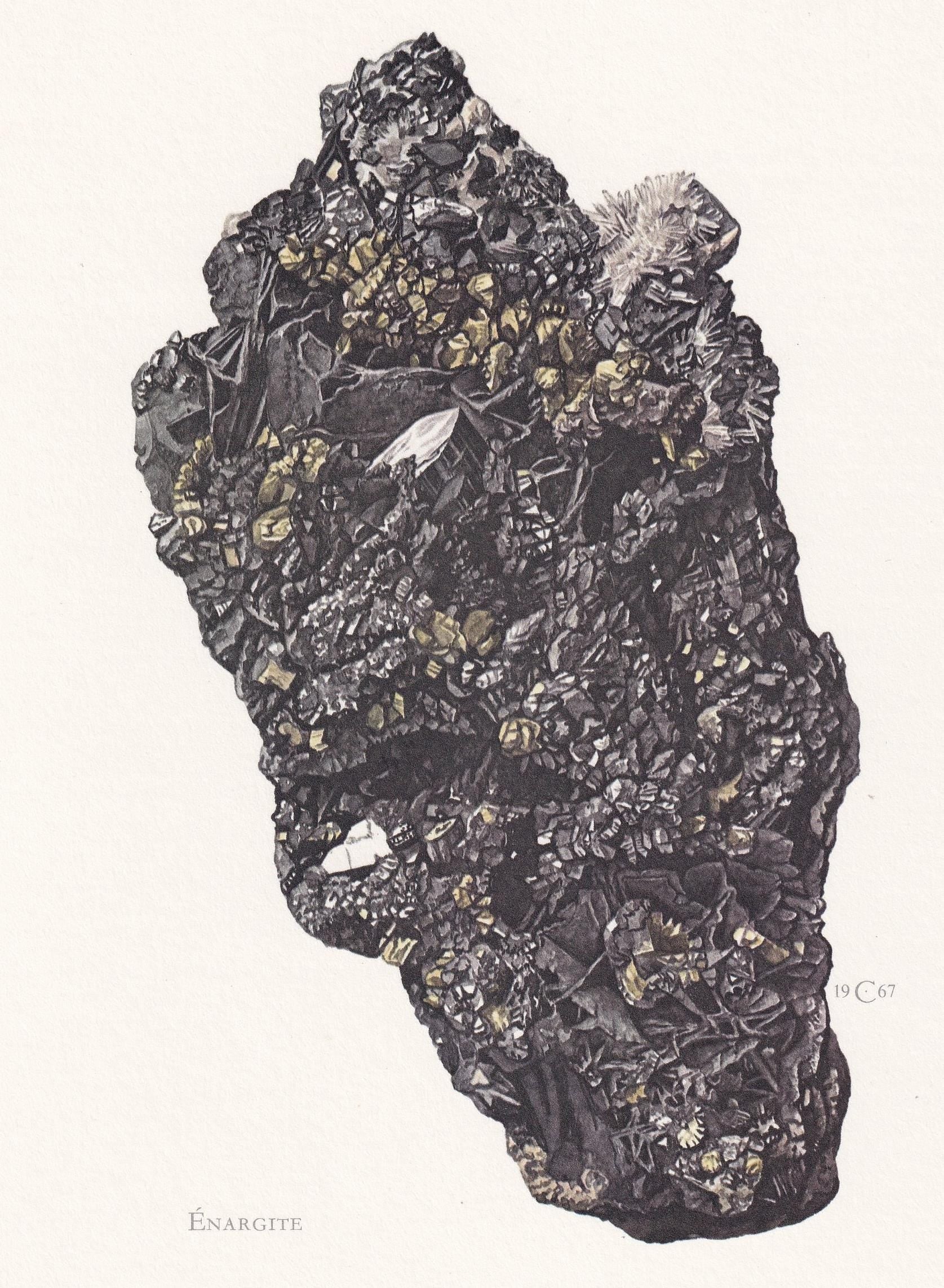 1968 ENARGITE Print - Mineral Wall Art Gift - Mineralogy Decor - Precious Stones - Vintage Rock Art - Element - 7.5 x 10.6 In