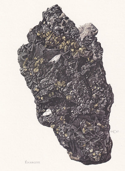 1968 ENARGITE Print - Mineral Wall Art Gift - Mineralogy Decor - Precious Stones - Vintage Rock Art - Element - 7.5 x 10.6 In