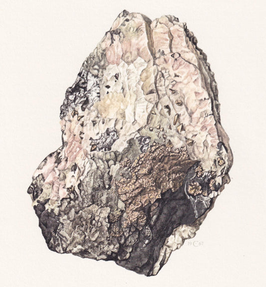 1968 NICKELINE (NICCOLITE) Print - Mineral Wall Art Gift - Mineralogy Decor - Precious Stones - Rock Art - Element - 7.5 x 10