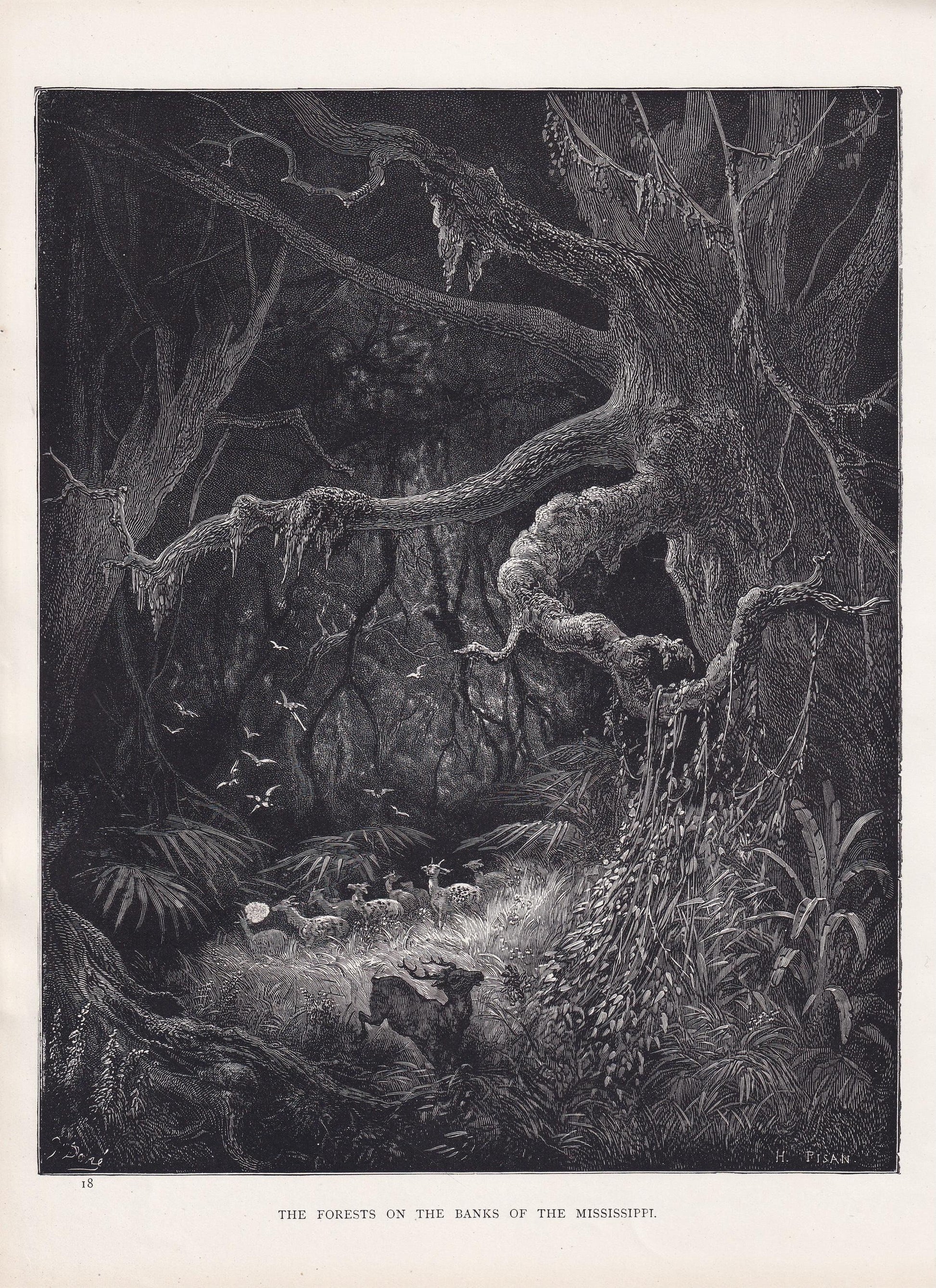 1870 GUSTAVE DORE Print - "The Forests on the Banks of the Mississippi" - Dore Wall Art - Antique Dore Engraving - 8.5 x 12.8
