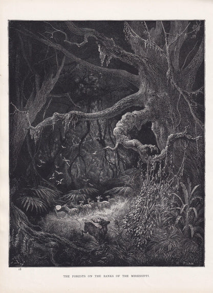 1870 GUSTAVE DORE Print - "The Forests on the Banks of the Mississippi" - Dore Wall Art - Antique Dore Engraving - 8.5 x 12.8