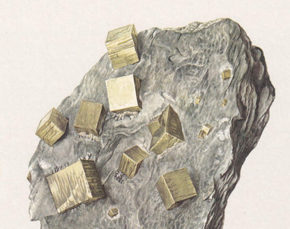 1968 PYRITE Print - Mineral Wall Art Gift - Mineralogy Decor - Precious Stones - Vintage Rock Art - Element - 7.5 x 10.6 Inches