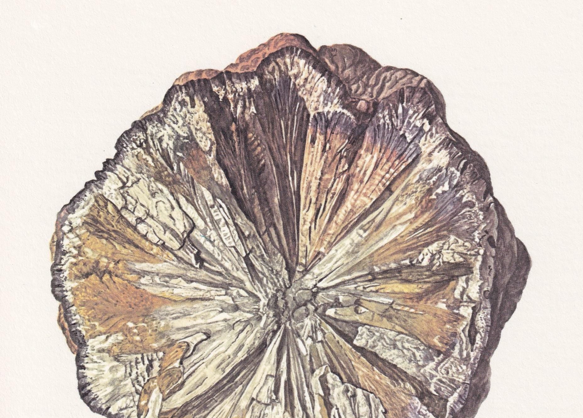 1968 MARCASITE Print - Mineral Wall Art Gift - Mineralogy Decor - Precious Stones - Vintage Rock Art - Element - 7.5 x 10.6 Inches