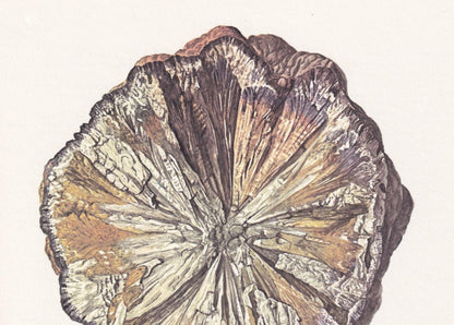 1968 MARCASITE Print - Mineral Wall Art Gift - Mineralogy Decor - Precious Stones - Vintage Rock Art - Element - 7.5 x 10.6 Inches