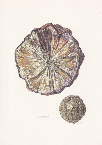 1968 MARCASITE Print - Mineral Wall Art Gift - Mineralogy Decor - Precious Stones - Vintage Rock Art - Element - 7.5 x 10.6 Inches