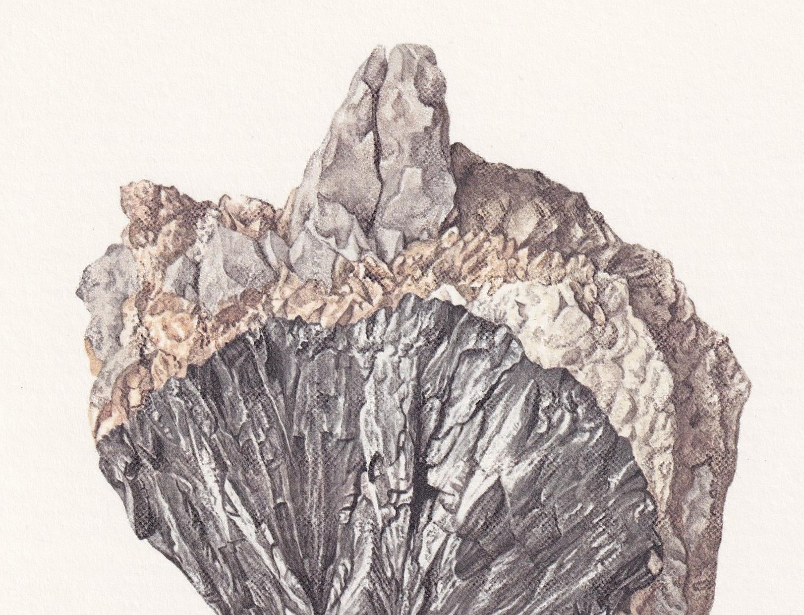 1968 LOELLINGITE Print - Mineral Wall Art Gift - Mineralogy Decor - Precious Stones - Vintage Rock Art - Element - 7.5 x 10.6 Inches