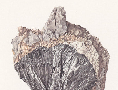 1968 LOELLINGITE Print - Mineral Wall Art Gift - Mineralogy Decor - Precious Stones - Vintage Rock Art - Element - 7.5 x 10.6 Inches