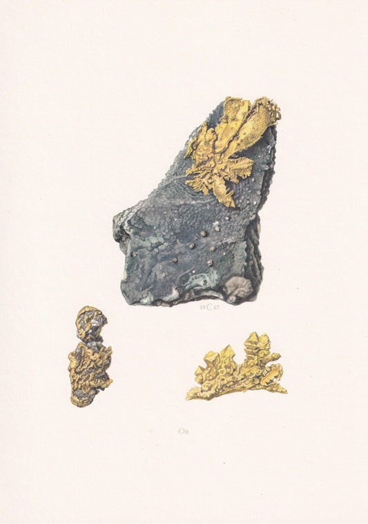 1968 GOLD Print - Mineral Wall Art Gift - Mineralogy Decor - Precious Stones - Vintage Rock Art - Element Print - 7.5 x 10.6 Inches