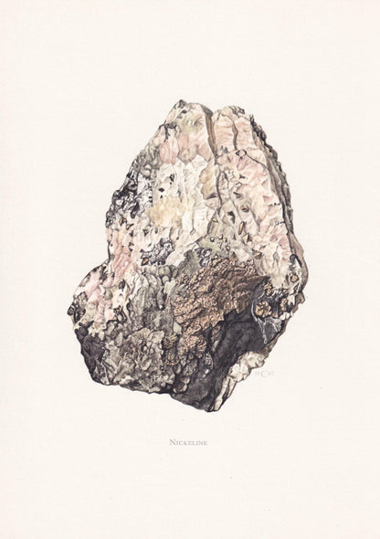 1968 NICKELINE (NICCOLITE) Print - Mineral Wall Art Gift - Mineralogy Decor - Precious Stones - Rock Art - Element - 7.5 x 10