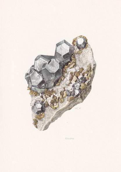 1968 GALENA Print - Mineral Wall Art Gift - Mineralogy Decor - Precious Stones - Vintage Rock Art - Element - 7.5 x 10.6 Inch
