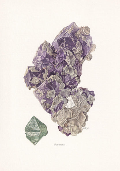 1968 FLUORINE Print - Mineral Wall Art Gift - Mineralogy Decor - Precious Stones - Vintage Rock Art - Element - 7.5 x 10.6 Inches