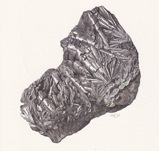 1968 CYLINDRITE Print - Mineral Wall Art Gift - Mineralogy Decor - Precious Stones - Vintage Rock Art - Element - 7.5 x 10.6 