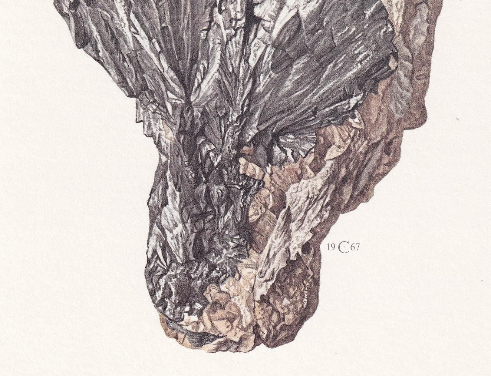 1968 LOELLINGITE Print - Mineral Wall Art Gift - Mineralogy Decor - Precious Stones - Vintage Rock Art - Element - 7.5 x 10.6 Inches