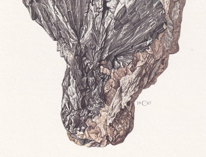 1968 LOELLINGITE Print - Mineral Wall Art Gift - Mineralogy Decor - Precious Stones - Vintage Rock Art - Element - 7.5 x 10.6 Inches