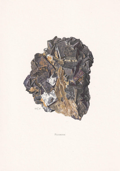 1968 FLUORITE (FLUORINE) Print - Mineral Wall Art Gift - Mineralogy Decor - Precious Stones - Vintage Rock Art - Element - 7.