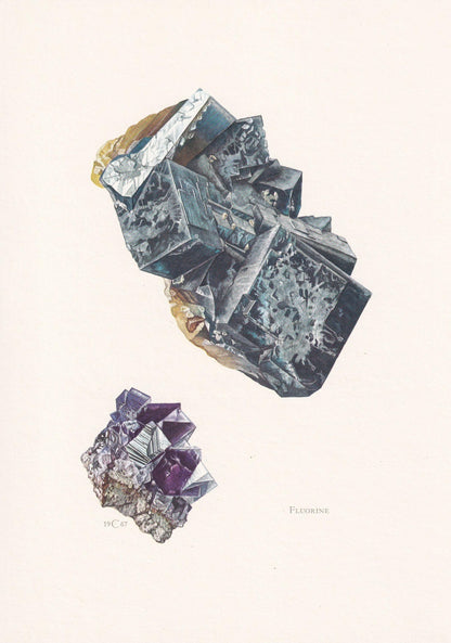 1968 FLUORITE (FLUORINE) Print - Mineral Wall Art Gift - Mineralogy Decor - Precious Stones - Vintage Rock Art - Element - 7.5 x 10.6 Inches