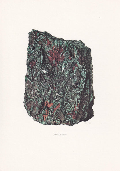 1968 ATACAMITE Print - Mineral Wall Art Gift - Mineralogy Decor - Precious Stones - Vintage Rock Art - Element - 7.5 x 10.6 I