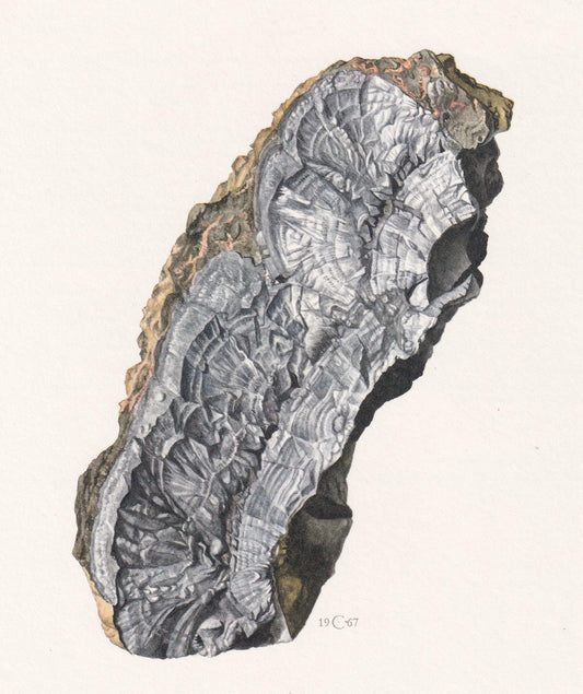 1968 CORONADITE Print - Mineral Wall Art Gift - Mineralogy Decor - Precious Stones - Vintage Rock Art - Element - 7.5 x 10.6 