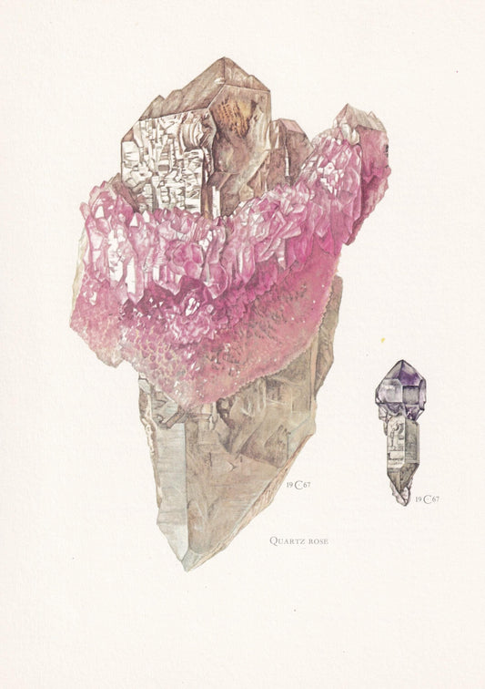 1968 ROSE QUARTZ Print - Crystal - Mineral Wall Art Gift - Mineralogy Decor - Precious Stones - Rock Art - Element - 7.5 x 10.6 Inches