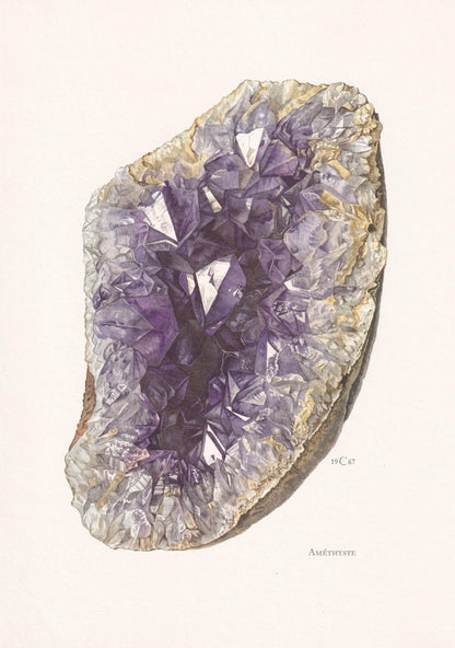 1968 AMETHYST Print - Gemstone - Mineral Wall Art Gift - Mineralogy Decor - Precious Stones - Vintage Rock Art - Element - 7.5 x 10.6 Inches