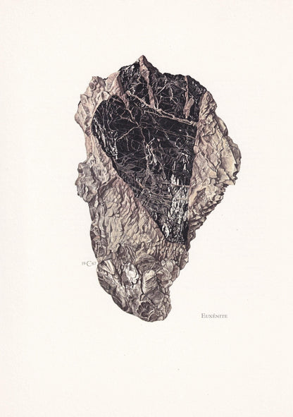 1968 EUXENITE Print - Mineral Wall Art Gift - Mineralogy Decor - Precious Stones - Vintage Rock Art - Element - 7.5 x 10.6 Inches